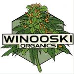 Winooski Organics profile picture