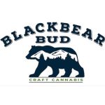 Black Bear Bud - Grand Opening!