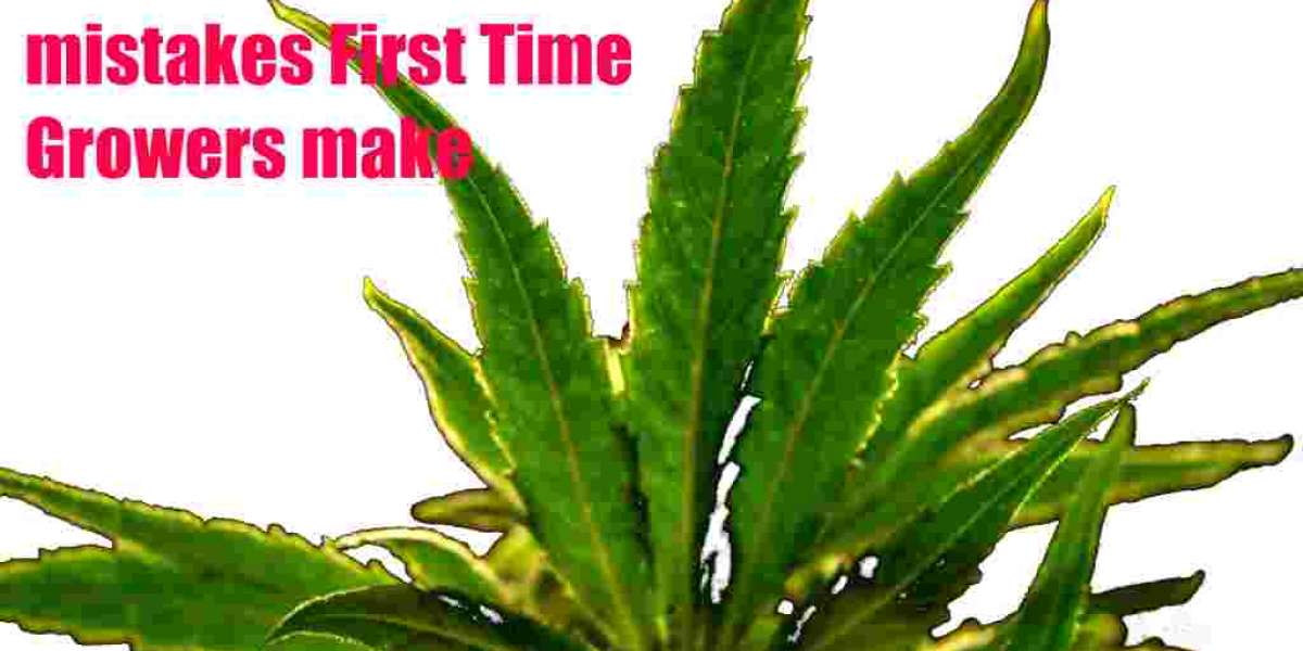 Most Common New Cannabis Grower Mistakes