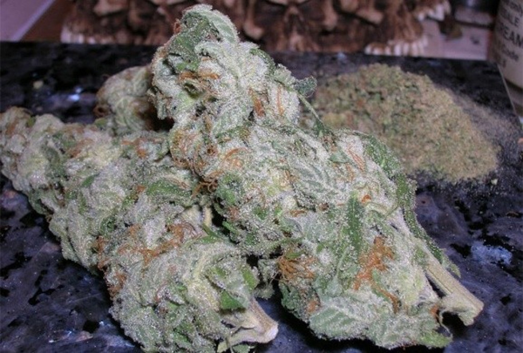 White Widow Picture