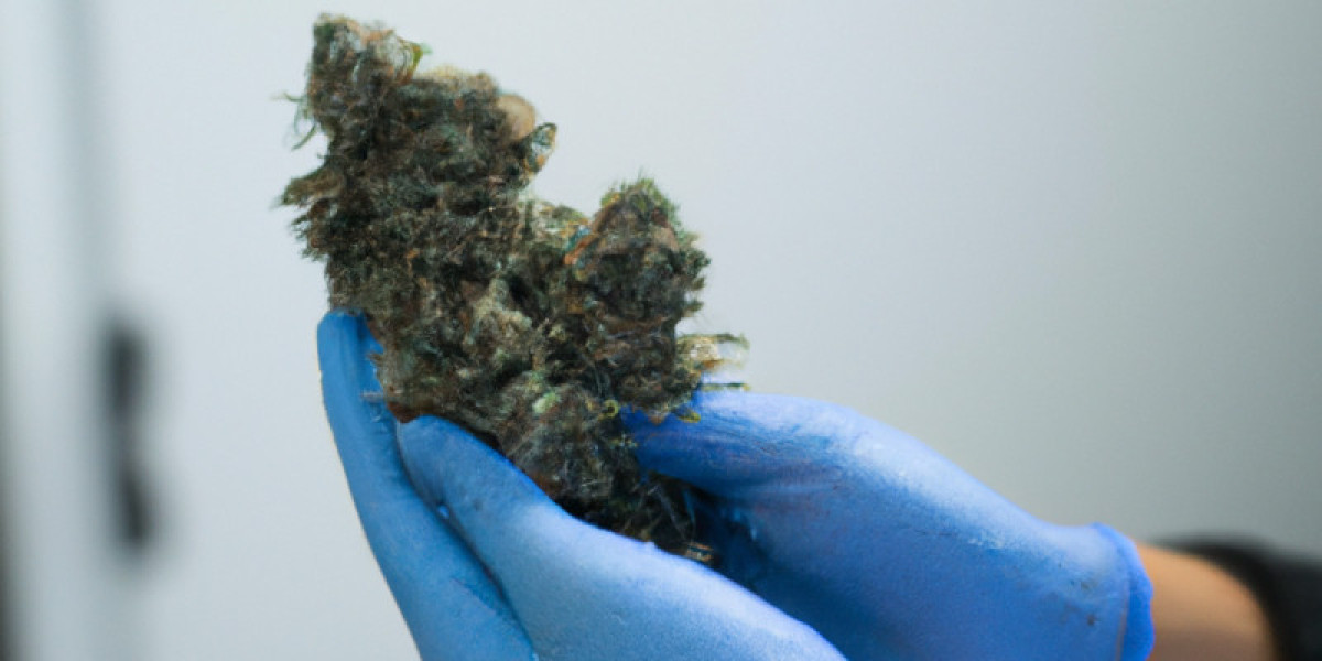 Properly Curing Cannabis: Mastering the Art for Superior Quality and Flavor